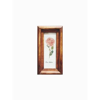 Középbarna - Rosa Gallica-Parlagi rózsa