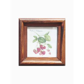 Középbarna - Rubus Nubigenus-Málna