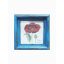Kék - Papaver orientale-Keleti mák