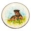 Kutya Rottweiler tányér