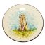 Kutya Golden Retriver tányér