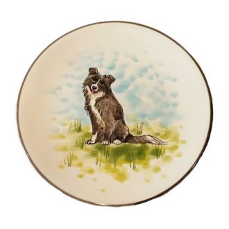 Kutya Border Collie tányér