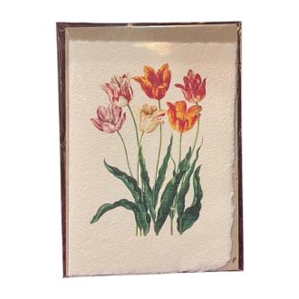 Merített papír képeslap - Virág-Tulipán hat szál