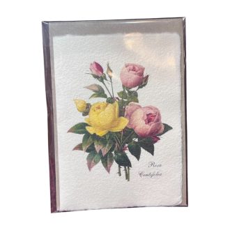   Merített papír képeslap - Virág-Rosa Centifolia-Százlevelű pink rózsa