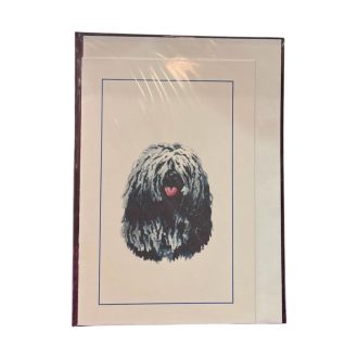 Vintage képeslap - Kutya-Puli
