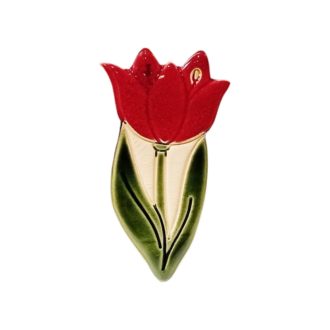 Vera mágnes tulipán