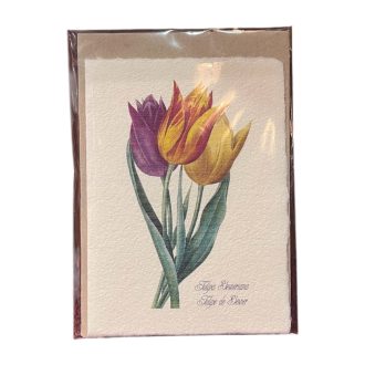   Merített papír képeslap - Virág-Tulipa Cesneriana-Botinakai tulipán