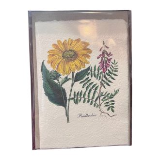 Merített papír képeslap - Virág-Rudbeckia-Kúpvirág