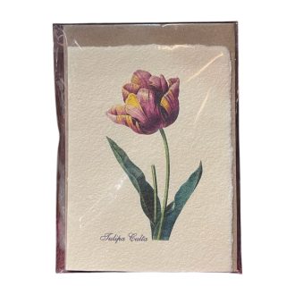 Merített papír képeslap - Virág-Népszerű tulipán